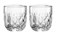 LEONARDO 055180 coffee glass Transparent 2 pc(s) 60 ml