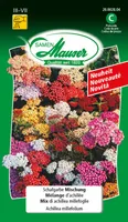 Samen Mauser 20002804 flower seeds/bulbs Yarrow