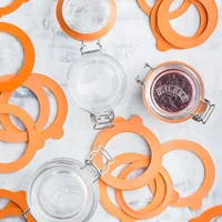 Kilner 0025.489 Rubber ring Red 6 pc(s)