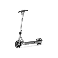 SoFlow SO ONE + Grigio, Argento 22 km/h 7,8 Ah