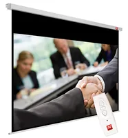 Avtek Business Electric Screen 300P