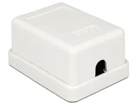 DeLOCK 86248 outlet box White