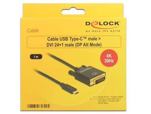 DELOCK USB-Kabel Typ C -> DVI241 StBu 4K 30 Hz 1,0m sw
