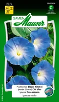 Samen Mauser Saatgut Prachtwinde Blauer Himmel - Aussaatzeit: April - Mai - Blütezeit: August - Juli - Oktober - September - Blütenfarbe: Blau - Weiss - Sonneneinstrahlung: Sonnig - Saattyp: Saatgut - Erntezeit: Keine