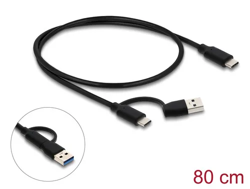 Delock USB 10 Gbps Hub mit 2 USB-C und 2 USB-A Ports