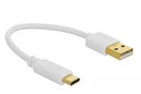 Delock USB-Ladekabel USB A - USB C 0.15 m - Kabeltyp: Ladekabel - Detailfarbe: Weiss - USB Standard: Keiner - Länge: 0.15 m - USB Anschluss 2 (Endgerät): USB C - Geschlecht Anschluss 2 (Endgerät): Male (Stecker)
