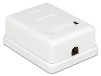 DeLOCK 86169 socket-outlet RJ-45 White