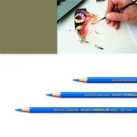 CARAN D'ACHE Farbstifte Prismalo 3mm 999.039 olivbraun