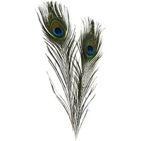 Creativ Company Federn 25-30 cm 10 Stück - Packungsgrösse: 10 Stück - Detailfarbe: Türkis - Grün