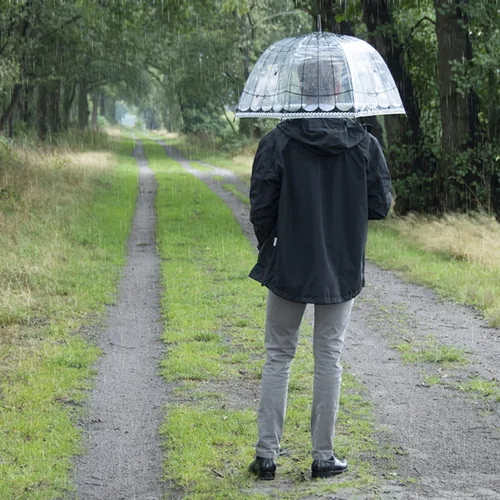 Esschert Design TP321 umbrella Black, Multicolour, Transparent Steel Full-sized Rain umbrella