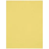 Westcott X-Drop Pro photo backdrop Polyester Monochromatic Yellow