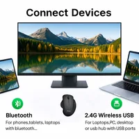Equip Komfortmaus Wireless Dual Mode 6Btn Rechts schwarz