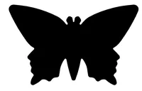 WEDO Motivstanzer Schmetterling, 2.5 cm - Durchmesser: 2.5 cm - Motiv: Schmetterling