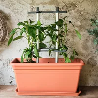 Gusta Garden CHILI BUDDY Rankhilfe für Chilis & Paprika im 3er Set Silber - Zubehörtyp: Rankhilfe - Detailfarbe: Silber