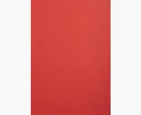 Exacompta Einbanddeckel Evercover 270 g/m², 100 Stück, Rot - Mediengewicht: 270 g/m² - Detailfarbe: Rot - Präsentation: Vorder- und Rückseite