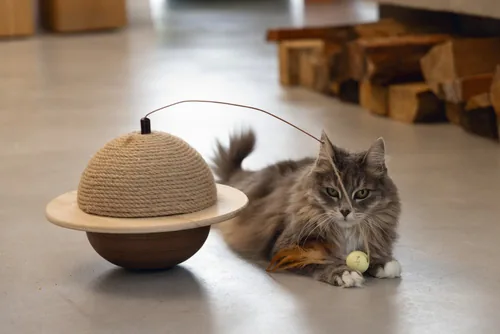 Designed by Lotte Kratzball Holz/Jute 29,5 x 29,5 x 20 cm - Höhe: 29.5 cm - Anzahl Liegeplätze: 1 × - Detailfarbe: Beige - Tierart: Katze - Produkttyp: Kratzbaum
