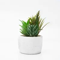 Dameco Kunstpflanze Sukkulenten «Welcome» 16 cm, mit Topf - Produkttyp: Topfpflanze - Detailfarbe: Weiss - Detailmaterial: Beton - Kunststoff - Grundmaterial: Kunststoff - Beton