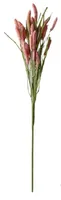 CHALET Blumenstiel Setaria 70 cm, Pink - Produkttyp: Schnittblumen und Zweige - Detailfarbe: Pink - Detailmaterial: Kunststoff - Grundmaterial: Kunststoff