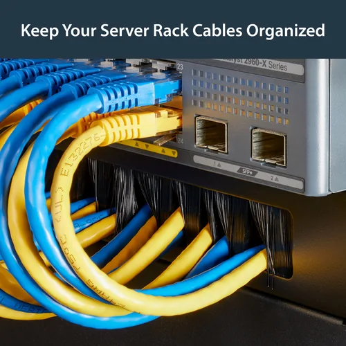 1U BRUSH RACK CABLE MANAGER .