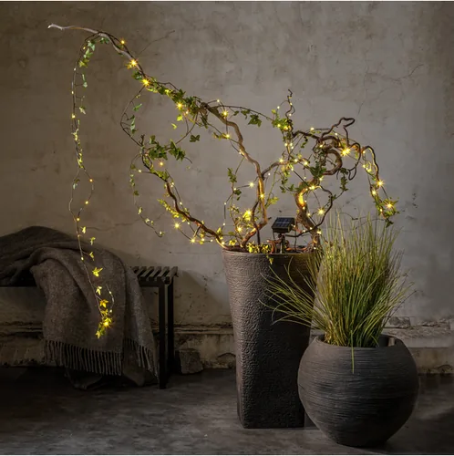 Star Trading Lichterkette Solar Dew Drop Micro, 100 LEDs, 740 cm, Grün - Produkttyp: Lichterkette - Betriebsart: Solarbetrieb - Set-Typ: Starterset - Fernbedienung: Nein - Smart Home: Nicht kompatibel - Lichtfarbe: Warmweiss (WW)