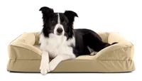 Lumaland Hundebett In-& Outdoor M Beige - Produkttyp: Bett - Tierart: Hund - Detailfarbe: Beige - Crème - Breite: 65 cm - Länge: 90 cm