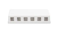 Digitus Consolidation-Point Box for 6x Keystone Jacks