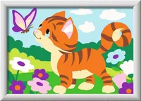 Ravensburger 12023250 colouring pages/book Color by numbers kit
