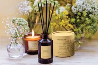 Stoneglow Duftstäbchen Golden Mimosa 160 ml - Duft: Mimose - Rosenknospen - Veilchen - Volumen: 160 ml