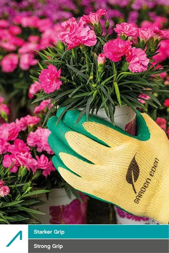 ACE Gartenhandschuh 3 Paar S Grösse: 7 - Grösse: 7 - Detailfarbe: Grün - Zielgruppe: Unisex - Anwender: Gärtner - Hobbyanwender - Grössensystem: EU - Grössentyp: Normalgrösse