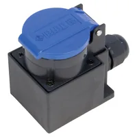 Steffen 56 00055 socket-outlet Type 13 Anthracite, Blue