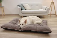 Kerbl 80459 dog / cat bed Pillow pet bed