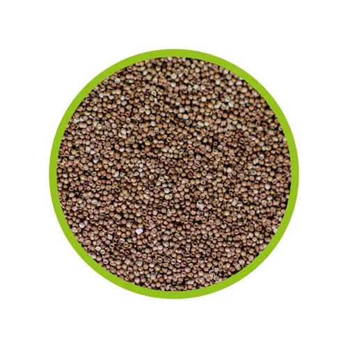 Hobby Aquaristik Aufzuchtsfutter Artemia Eier, 20 ml - Fischart: Zierfische - Futterart: Granulat - klein - Verwendung: Meerwasser - Süsswasser - Packungsgrösse: 20 ml - Produkttyp: Ergänzungsfutter
