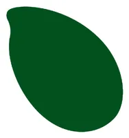 Reslin Farbpigmente Tinte 20 ml, Smaragd - Zubehörart Basteln: Farbpigmente
