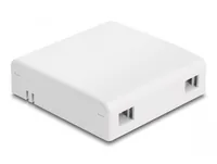 DeLOCK Optical Fiber Connection Box for wall mounting for 2 x SC Simplex or LC Duplex white