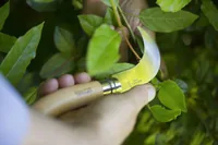 Opinel Gärtnermesser No. 10 weit gebogene Klinge