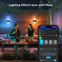 Smart Outdoor Wall Light