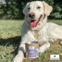 Paws & Patch Hunde-Nahrungsergänzung MSM Pulver 500 g - Nahrungsergänzungstyp: Pulver - Tierbedürfnis: Immunsystem - Zertifikate: Keine Zertifizierung - Produkttyp: Ergänzungsfutter - Packungsgrösse: 500 g - Cannabinoide: Keine