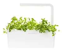 Click and Grow Samen Oregano - Aussaatzeit: April - August - Dezember - Februar - Januar - Juli - Juni - Mai - März - November - Oktober - September - Sonneneinstrahlung: Hell und warm - Saattyp: Saatgut - Gemüsegruppen: Kräuter - Erntezeit: April - Augus