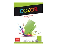 ELCO Office Color Papier A4 74616.62 80g, grün 100 Blatt