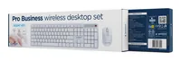 Gembird Silent key Pro Business wireless desktop set, white, US layout