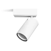 Philips Idris Ceiling/Wall Spotlight