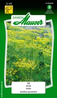 Samen Mauser Samen Dill - Aussaatzeit: Juli - Juni - Mai - Sonneneinstrahlung: Sonnig - halbschattig - Saattyp: Saatgut - Gemüsegruppen: Kräuter - Erntezeit: August - Juli - Oktober - September - Bio Zertifizierung: Ohne Bio-Zertifizierung