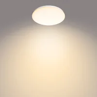 Philips Functional Ceiling light
