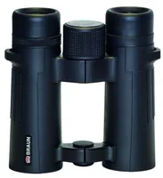 Braun Compagno          10x34 WP