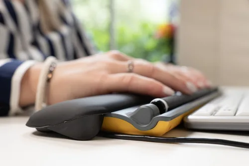 BakkerElkhuizen Maus ErgoSlider Plus Central Mouse retail