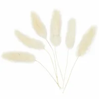 Creativ Company Bunny tail grass