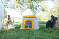 Kerbl Kaninchenheim Bunny Base ohne Erdteil - Nagetierart: Kaninchen - Tierart: Kaninchen