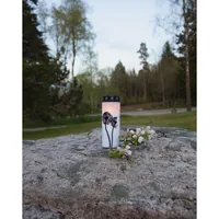 Star Trading LED Grabkerze Löwenzahn, Ø 7 x 21 cm, Weiss - Betriebsart: Akkubetrieb - Batteriebetrieb - Aussenanwendung: Ja - Höhe: 21 cm - Timerfunktion: Ja - Set: Nein - Farbe: Weiss