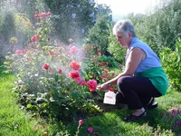 Birchmeier Handsprüher Florajet - Fassungsvermögen: 1 l - Detailfarbe: Transparent - Rot - Weiss - Gerätetyp: Handsprühgerät