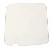 Zebra SG-WS3X-SCRNP5-01 accessorio per palmari Protezione per schermo